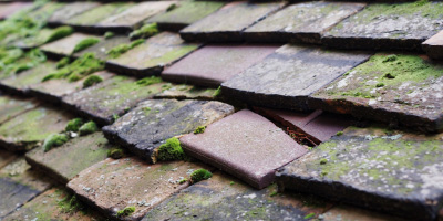 Penysarn roof repair costs